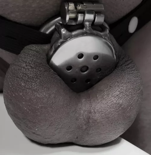 Locktober 2024 - day 17- do my balls look FULL?