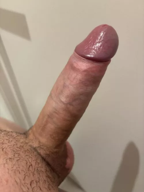M28