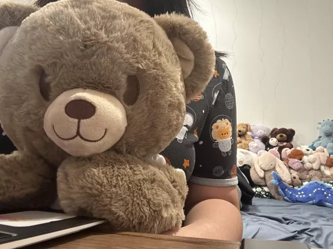 new stuffie hard at work 