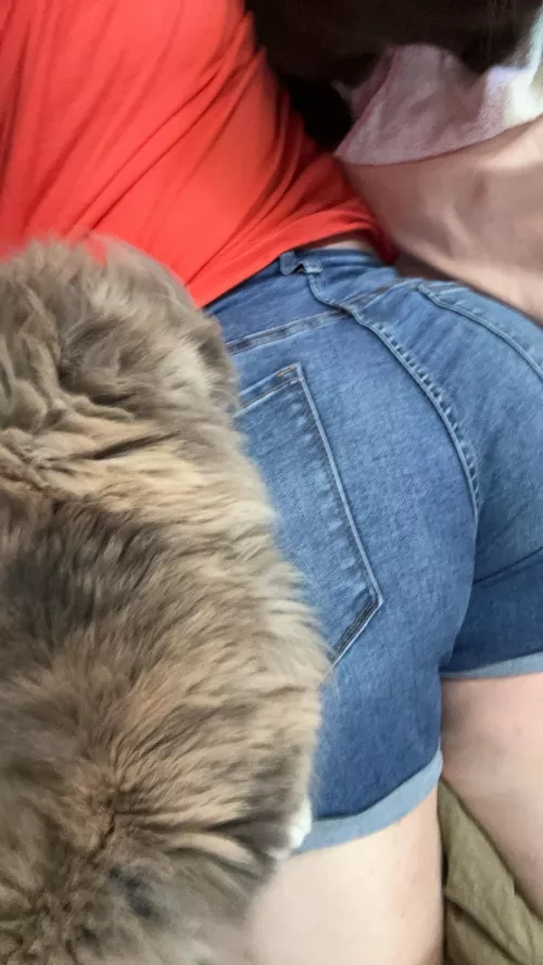 Pre show nap.  Love concert days. 