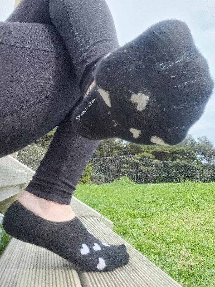 Send and Submit✨️