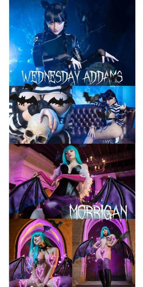 Spooky cat-girl or lustful bat-girl! Choose your fighter for October ;)