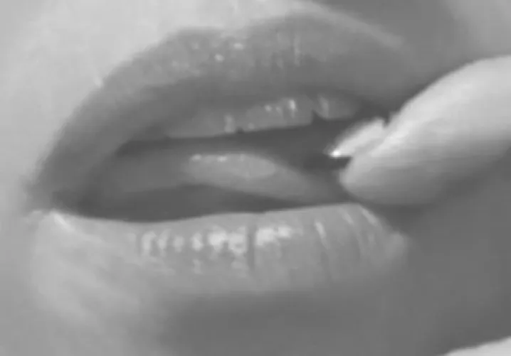 taste•touch•desire•crave