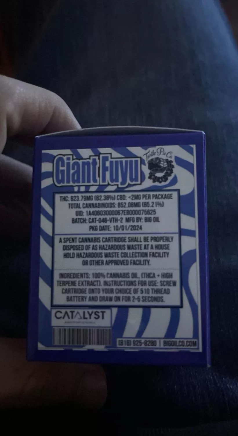 🐢 🥧 turtle pie Mjuice 