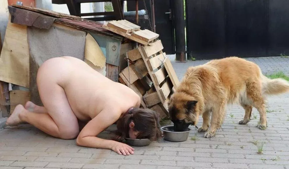 you think you are more than this cunt?