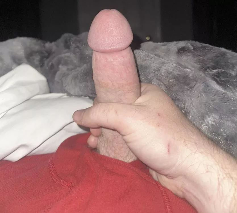 37m4f playmate