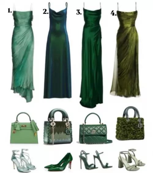 Choose your outfit for today, sissy 