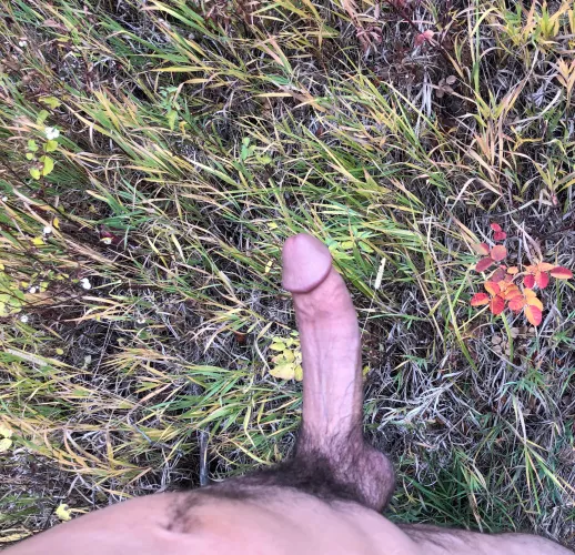 I wonder what the couple thought that caught me taking this picture?(38)