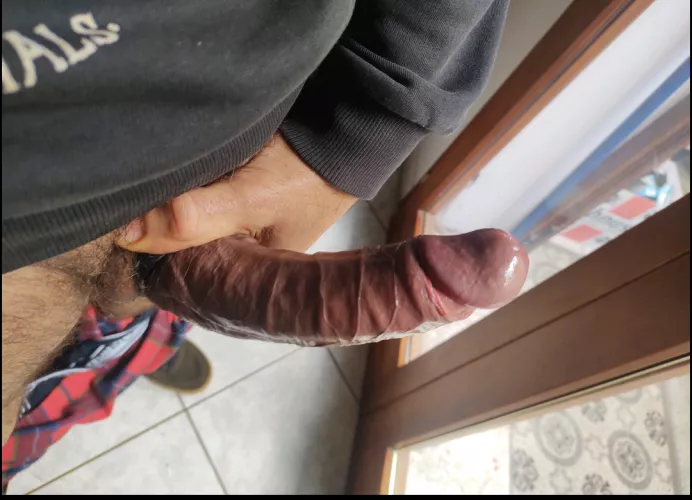 Is it big and veiny enough for you?