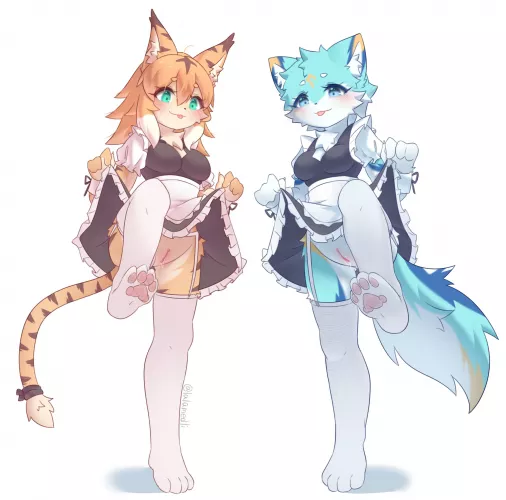 Left or Right? ;3 (lalamedli) [ff]