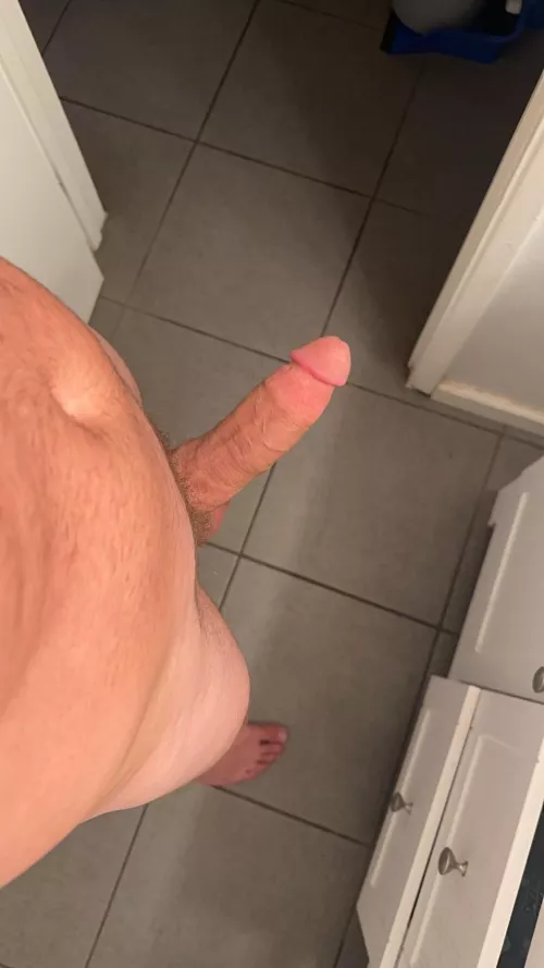 My Boner is looking for its Owner