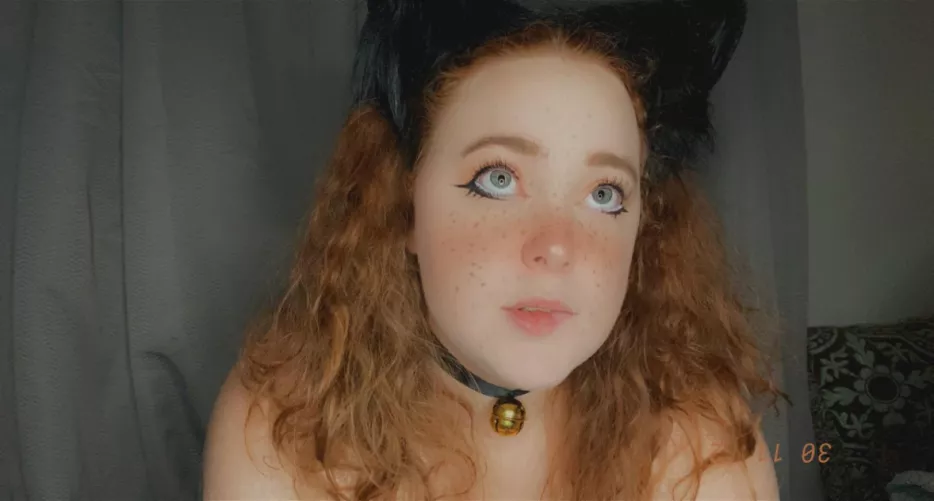 [P2P] do I get a treat?🧶🐱 pics, vids, sexting, GFE, dropbox(3,300+ items), panties, premium, OF, etc. KlK: ctrlr / SC: bunnybabesred