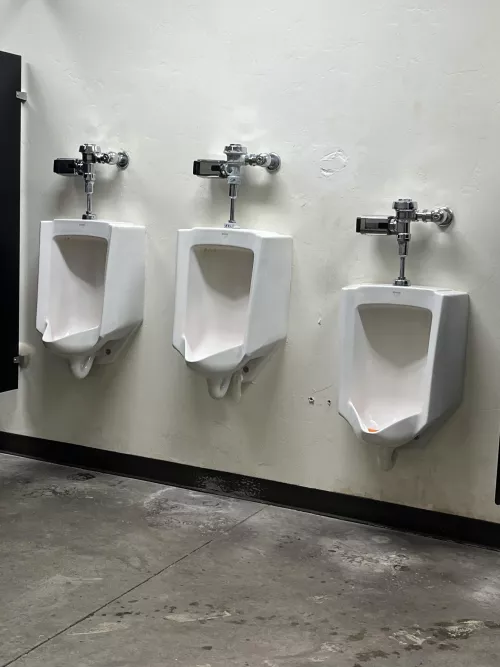 Pima County Fairgrounds. Tucson, AZ.