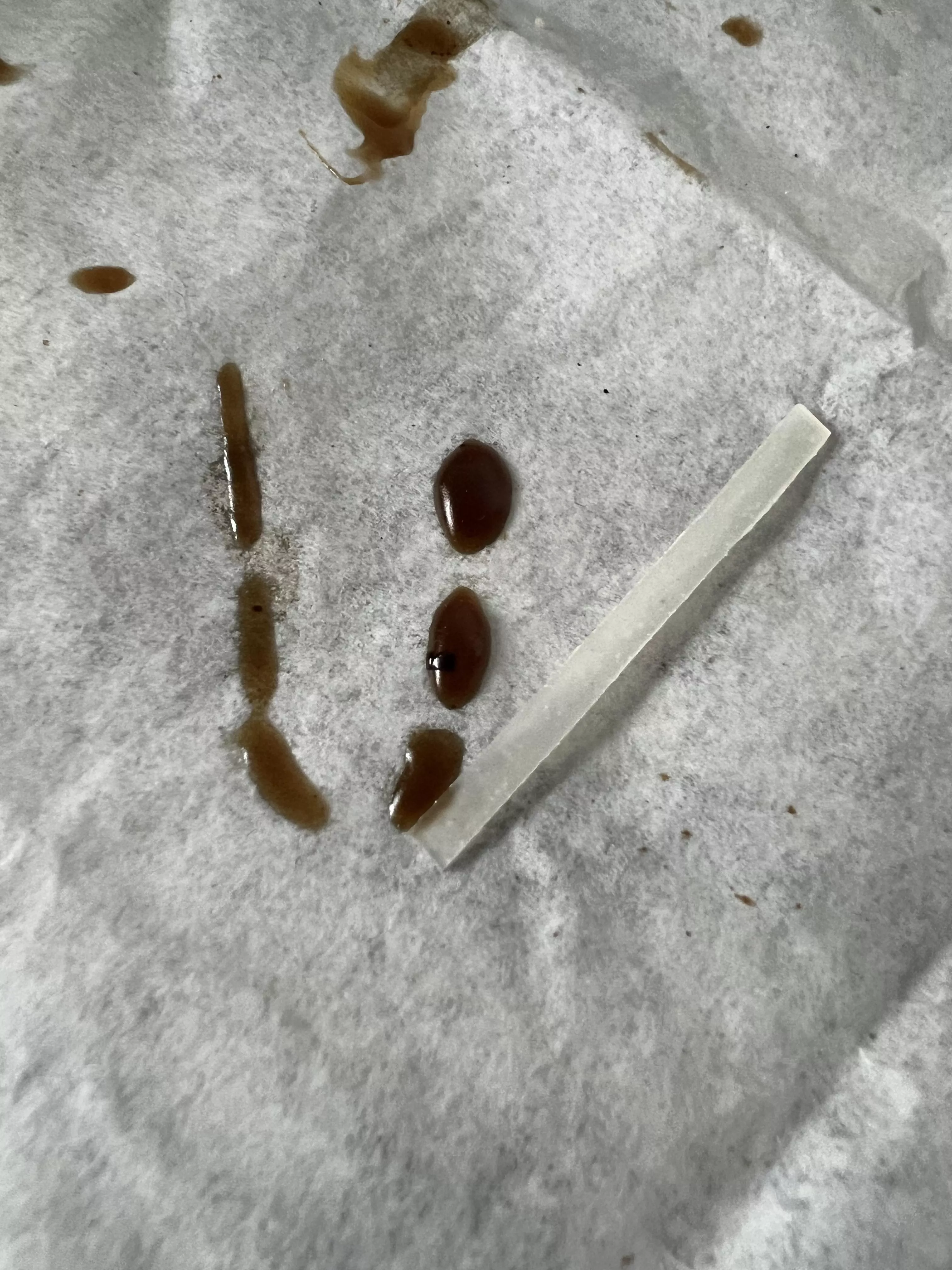 Pro Tip: Rice Noodle Reclaim