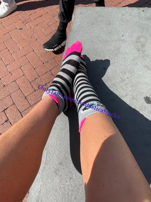 Raccoons in the wild 🦝🦝