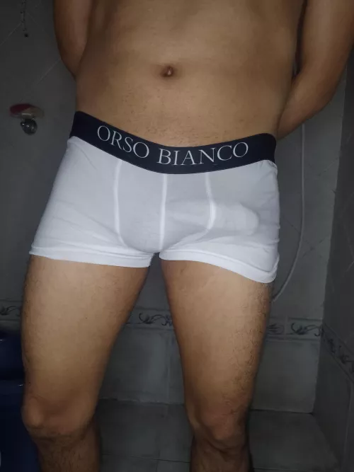 The perfect tease: the shape of my hard cock showing through my white boxers 😈