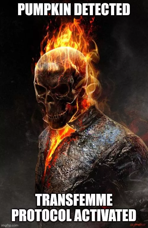 Would be real funny if we posted this anywhere anytime we see a pumpkin