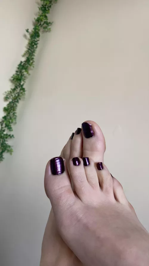 Would you like to buy my pics?