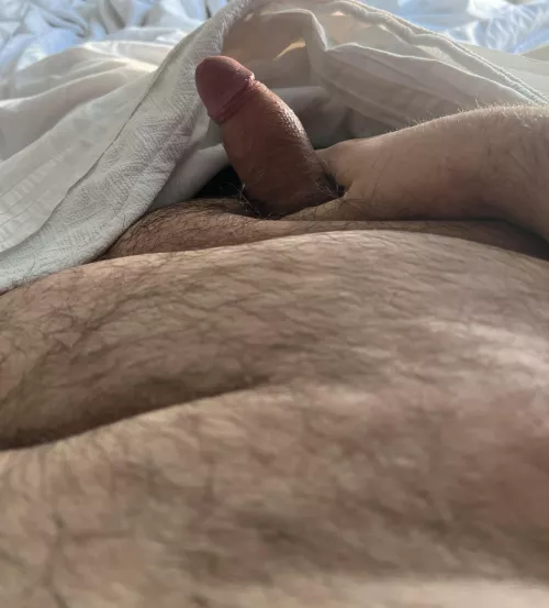 [34] married chub looking for buds near Missouri City, Fresno, or Pearland.