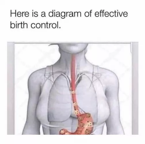 An educational diagram…