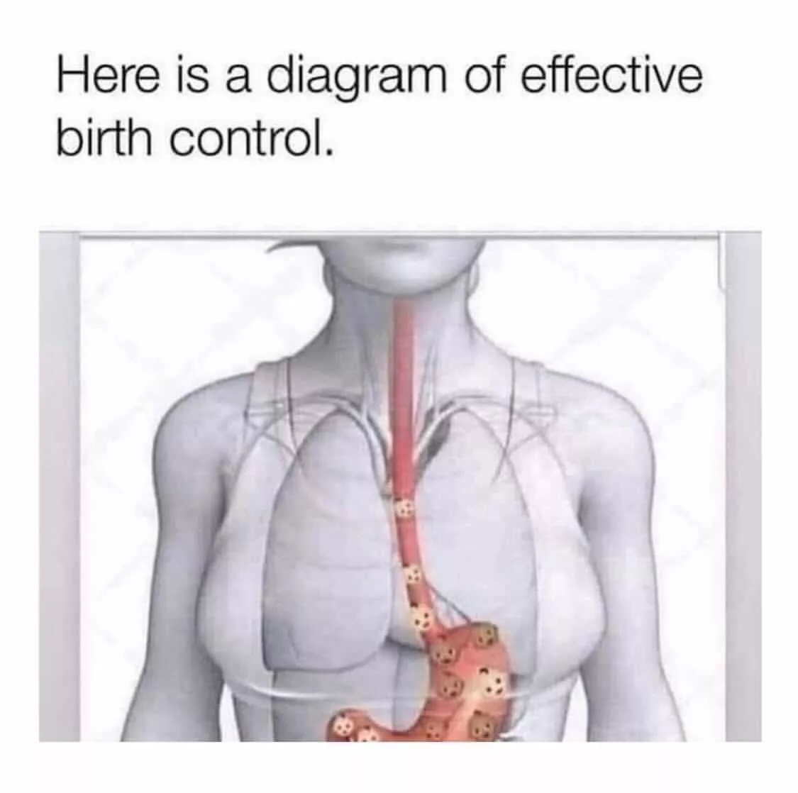 An educational diagram…