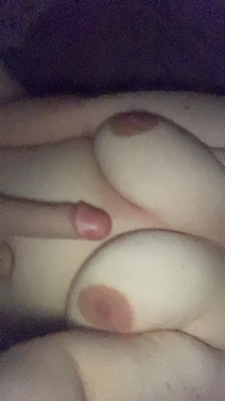 Are my tits cute :3