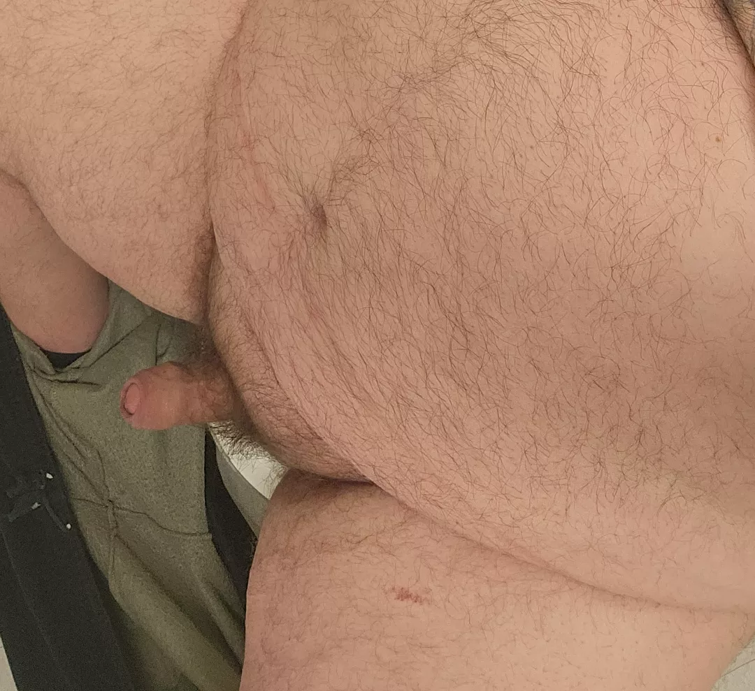 Big belly bear hard a work. DMs open.