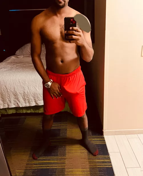 Experience and Hung Bull - M4F or M4FM - Metro Detroit area Can also travel