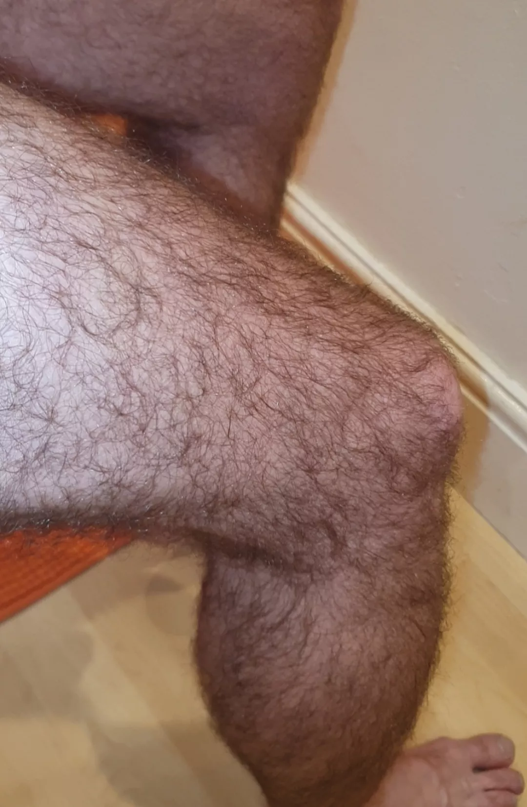 Extra furry this morning