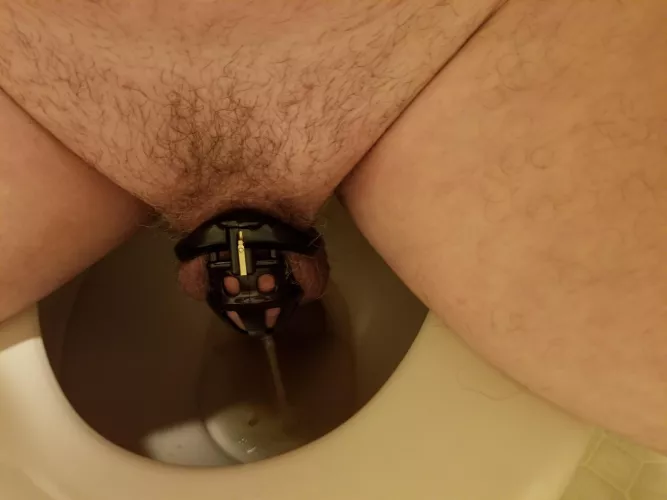 first caged pee. oh what a relief