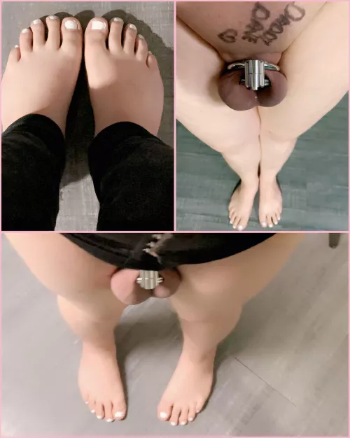 Had my sweet sissy Ellie change her cage this morning and also made her polish those toes like a good sissy that she is going to be 😈