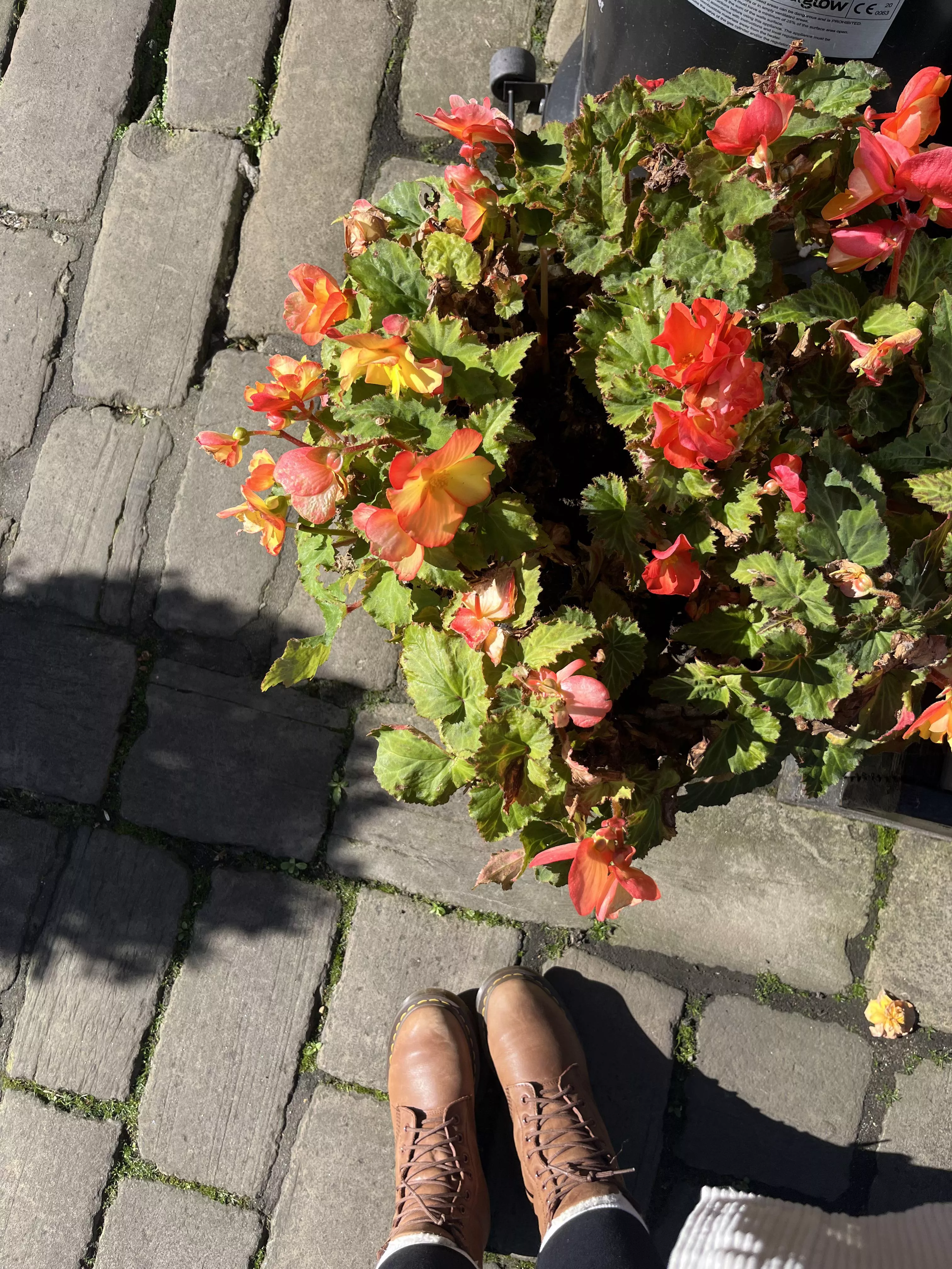 Happy locktober freaks 🔐 Which also means it’s doc season ; aka the best boots for busting those teeny tiny locked up beta bits 😈🤣