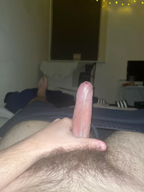 Hey anyone fancy this?  20m