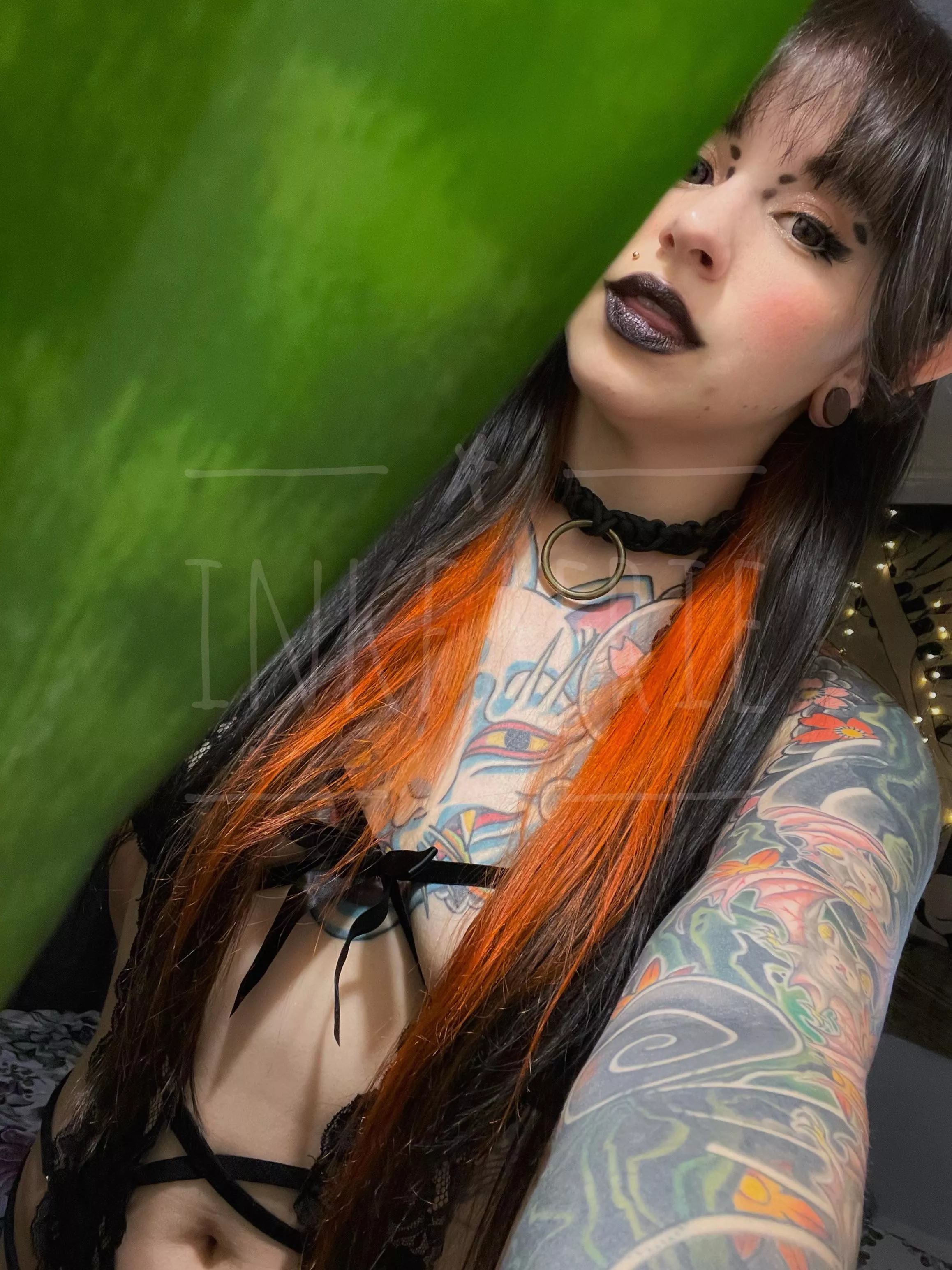 POV: I'm the spider hiding in your snake plant for Winter