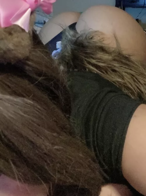 Puppy girl looking for a loving home 🤍🐶