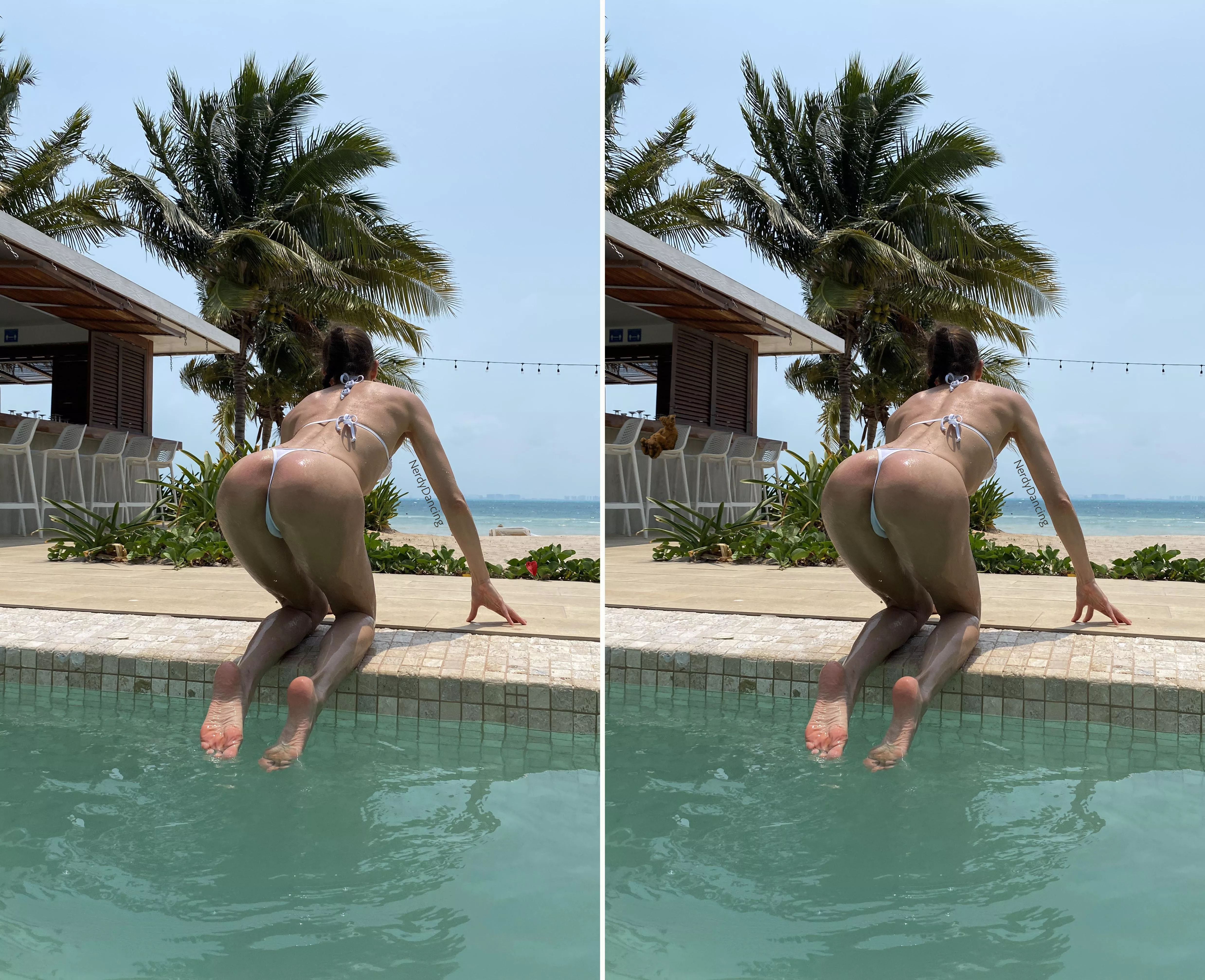 Spot 10 differences. Photo and edit by me.