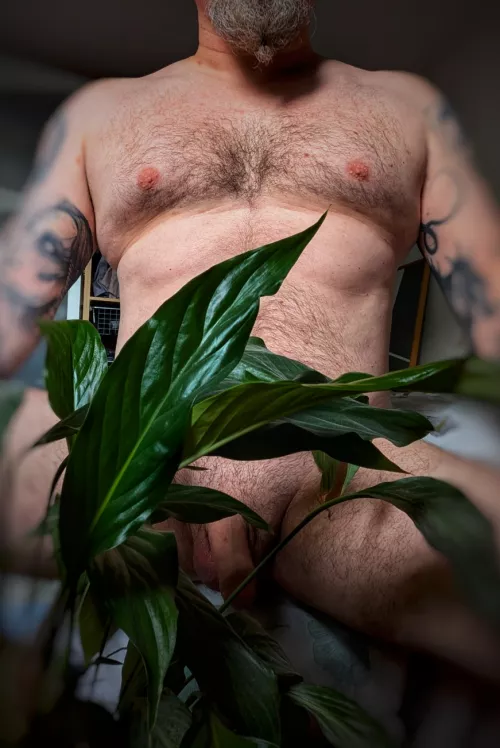 Sunday morning, It's time to water the plants 