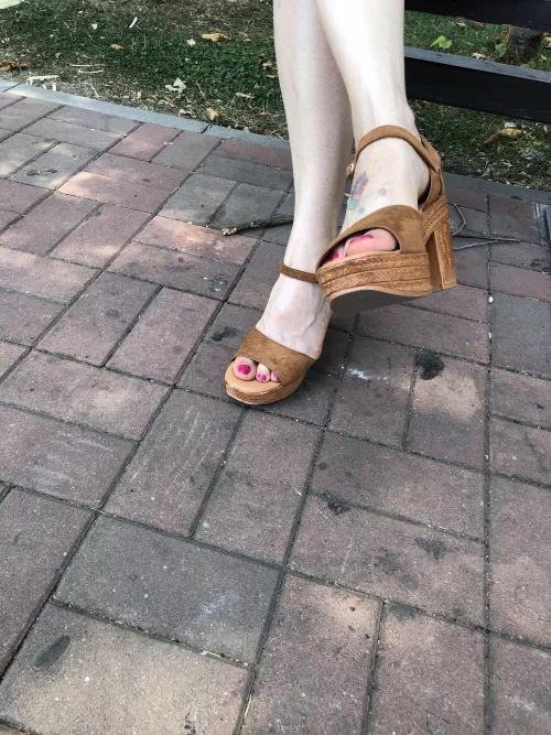 Took them for a walk.