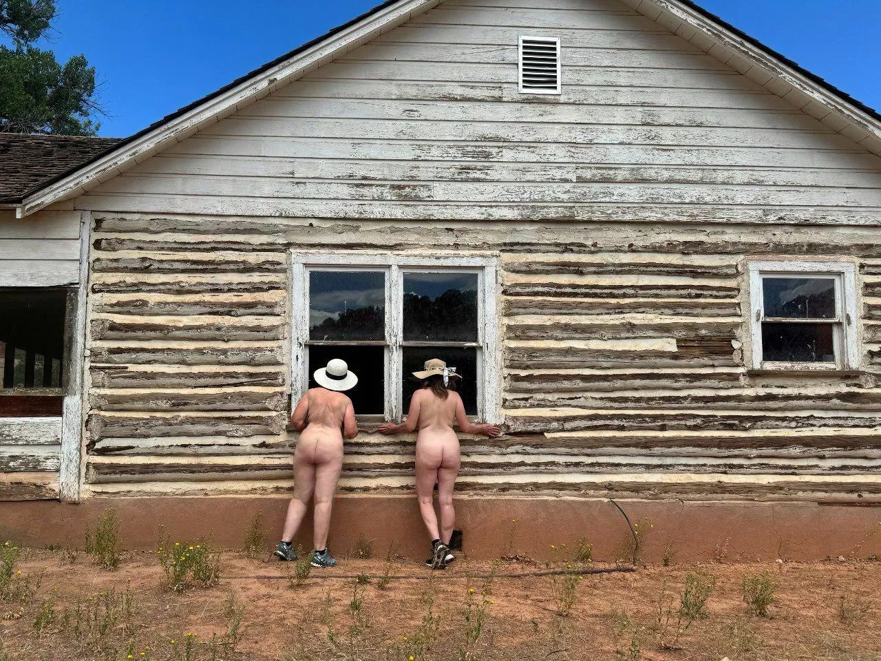 What's in There? (More in comments)