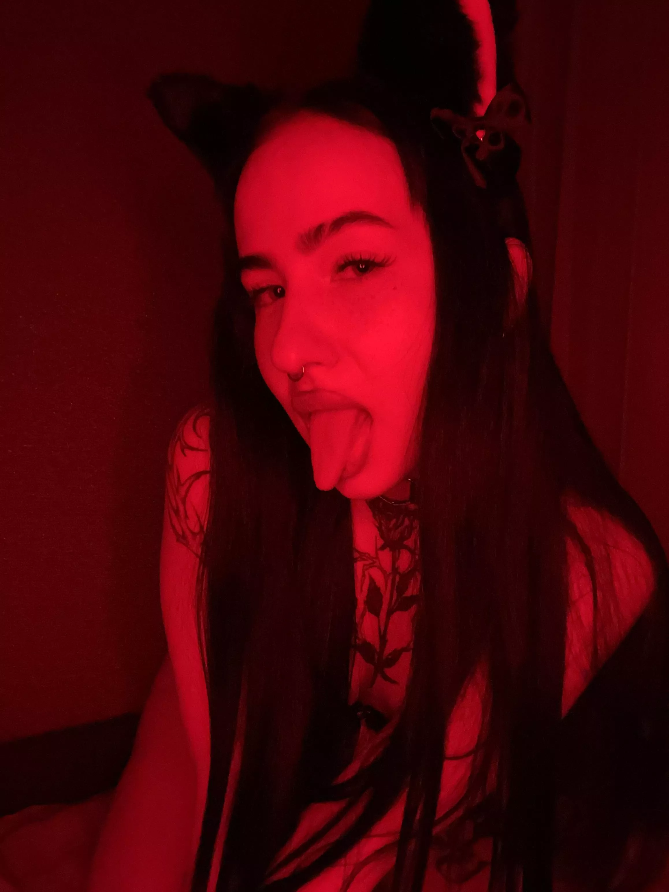 you'd feed that cat your cream if it asked for it, wouldn't you