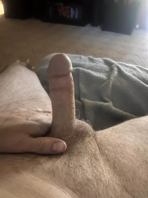46 [M4F] #Rogers - way up in NWA area, home alone, bored and horny