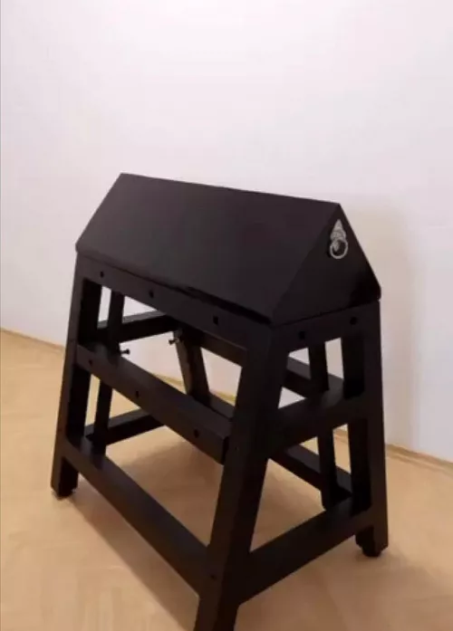 A dream coming true. First wooden horse ride 