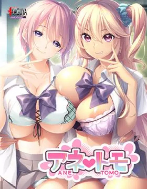 Anetomo Hino Eimi Hen The Motion Anime