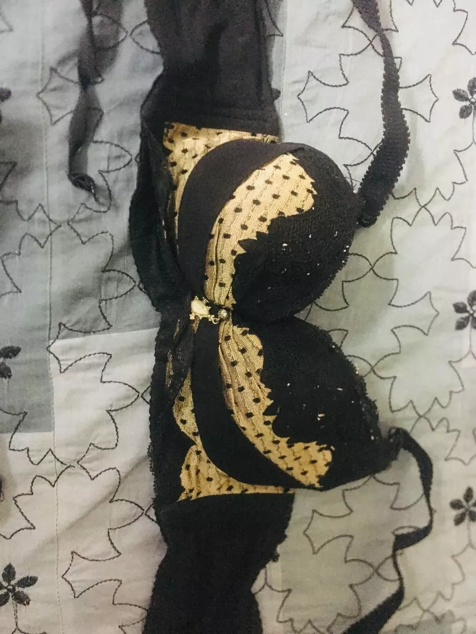 Any padded bra seller from india ???