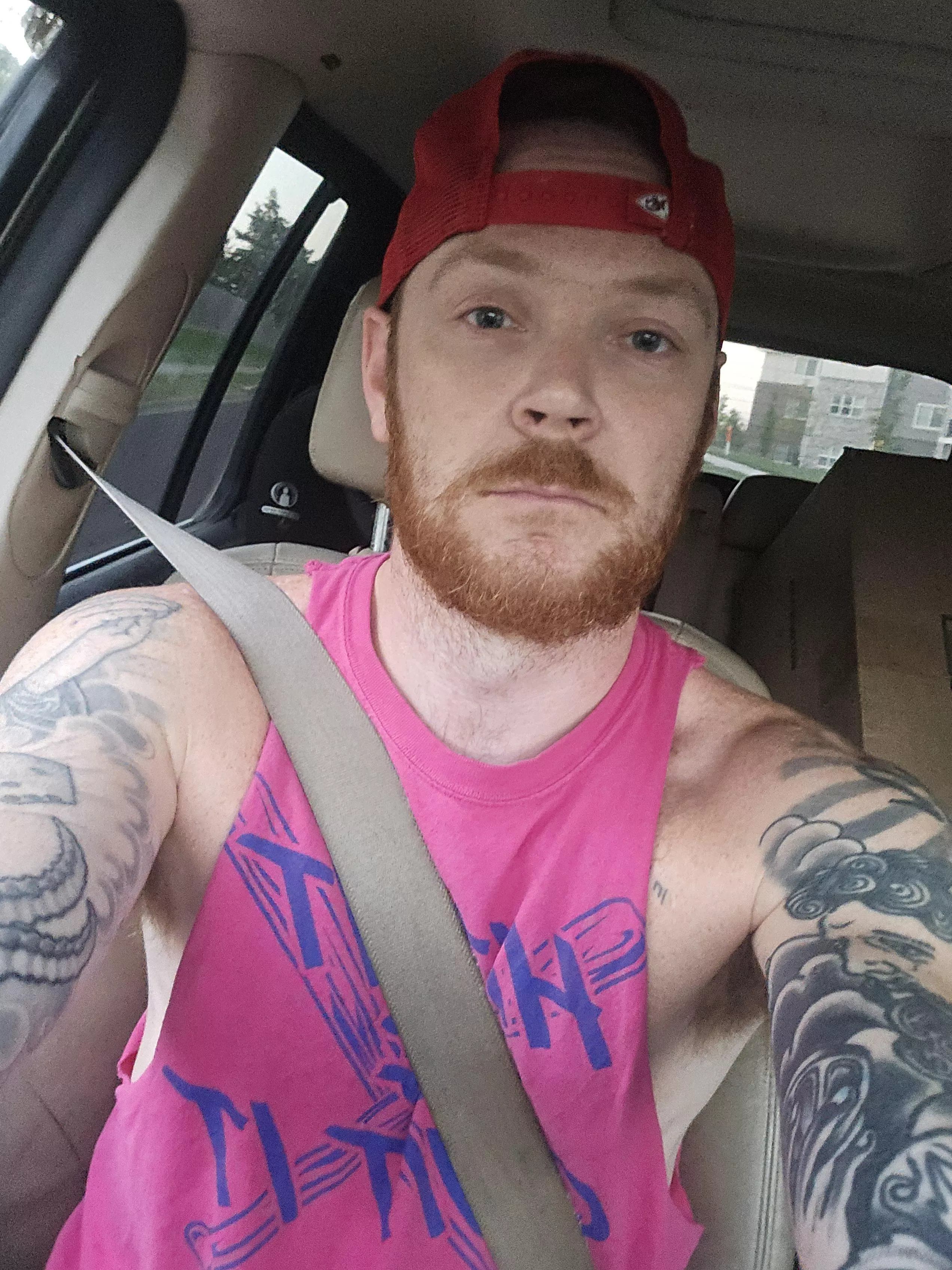 Bull looking for hotwife or couple. 35 overland park