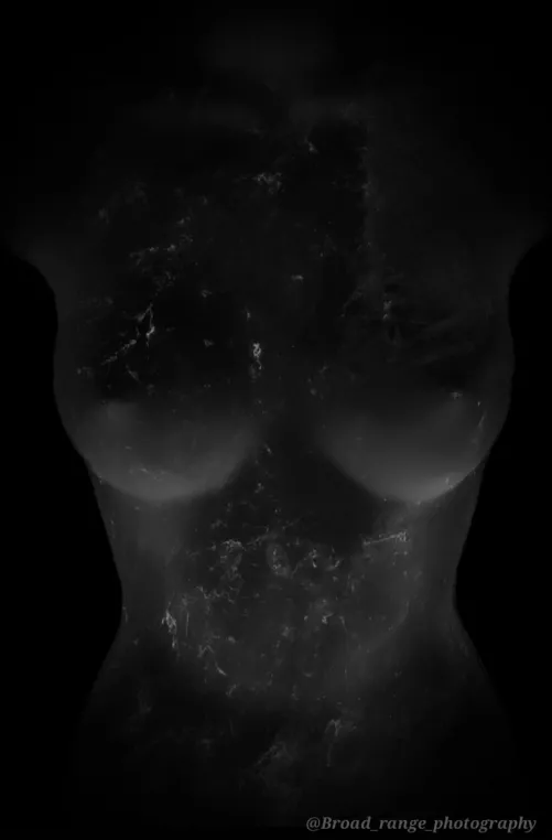 B&W. Covered in spiderweb 