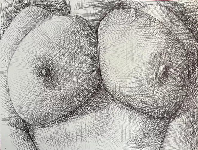 Chest / Trick_Bandicoot_4625 / by me