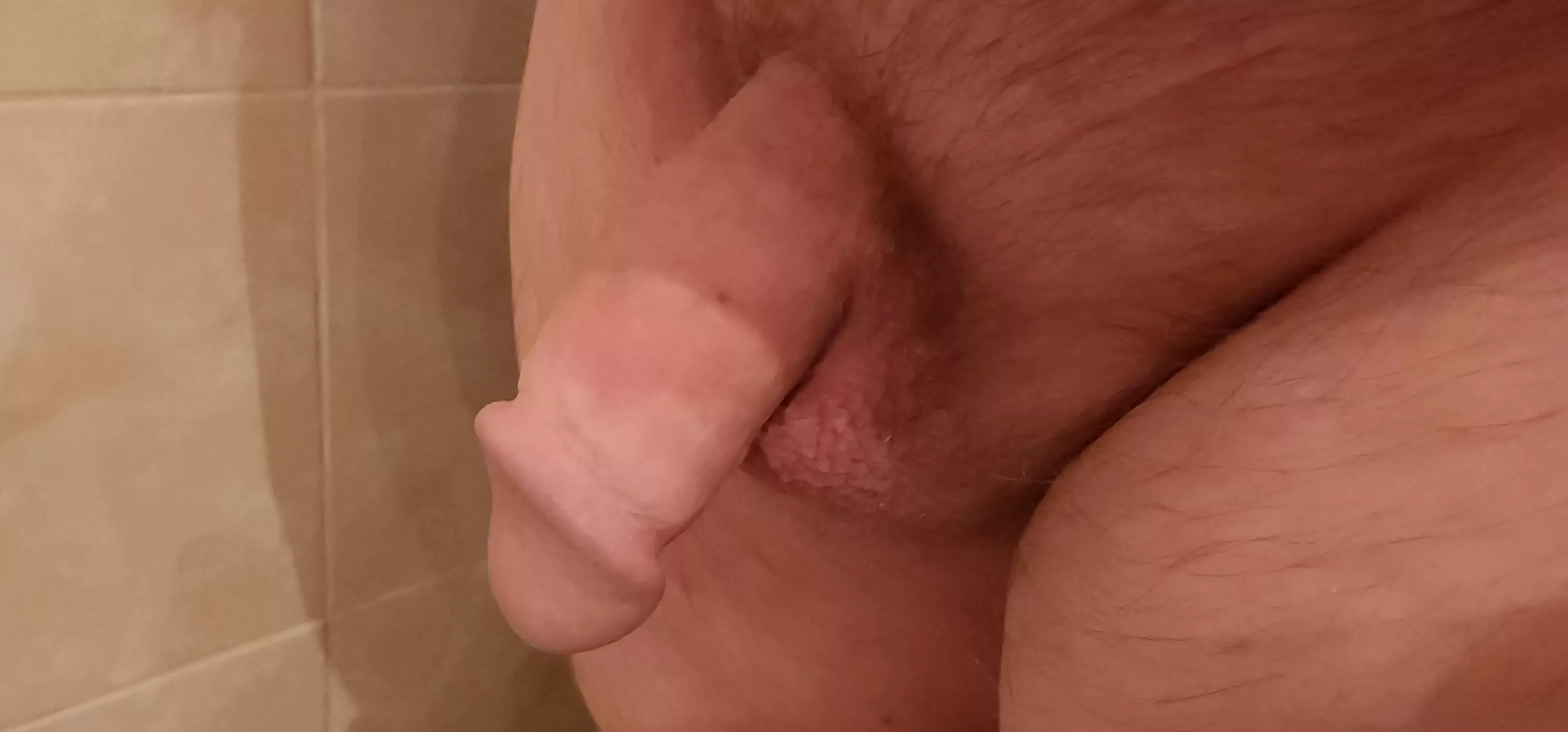 Chubby guy looking to jerk with a buddy