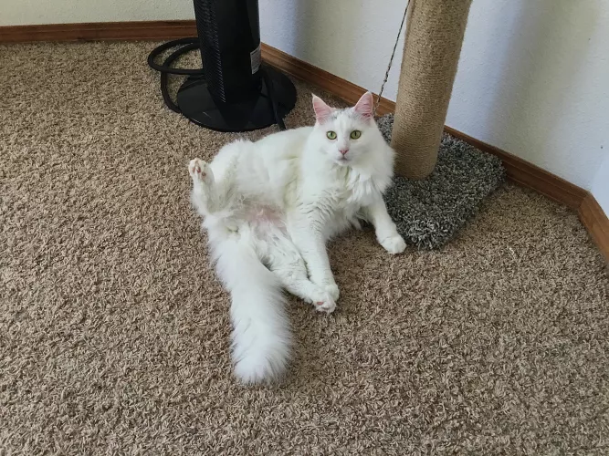 [F] Erin, Giving up the Goods