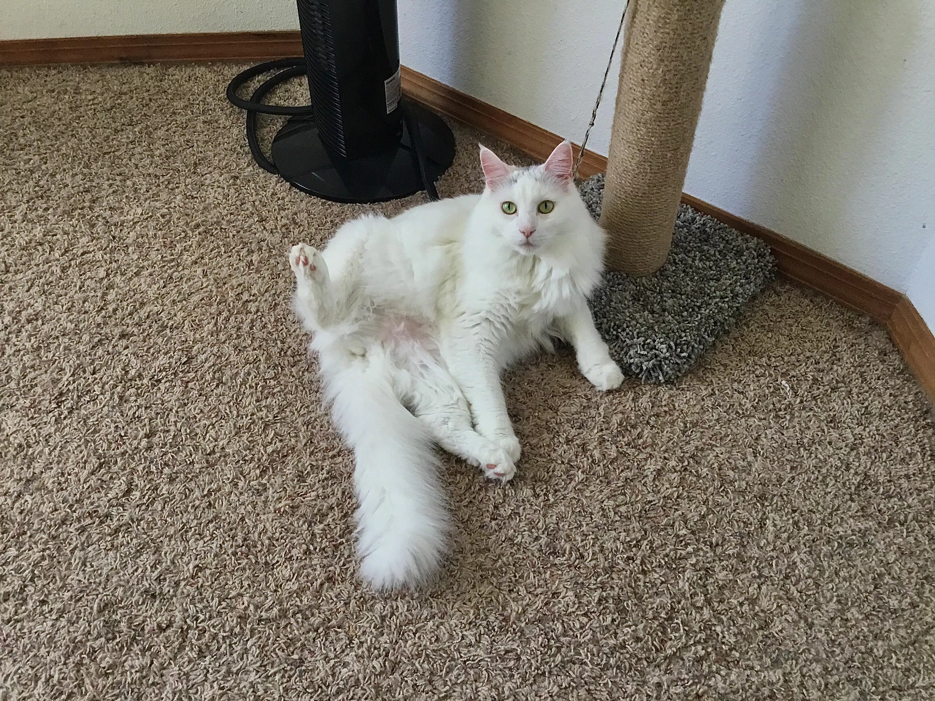 [F] Erin, Giving up the Goods